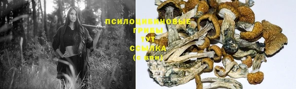 a pvp Киреевск